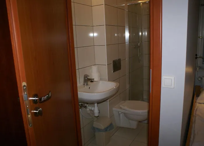 Albergue Frolic Goats *